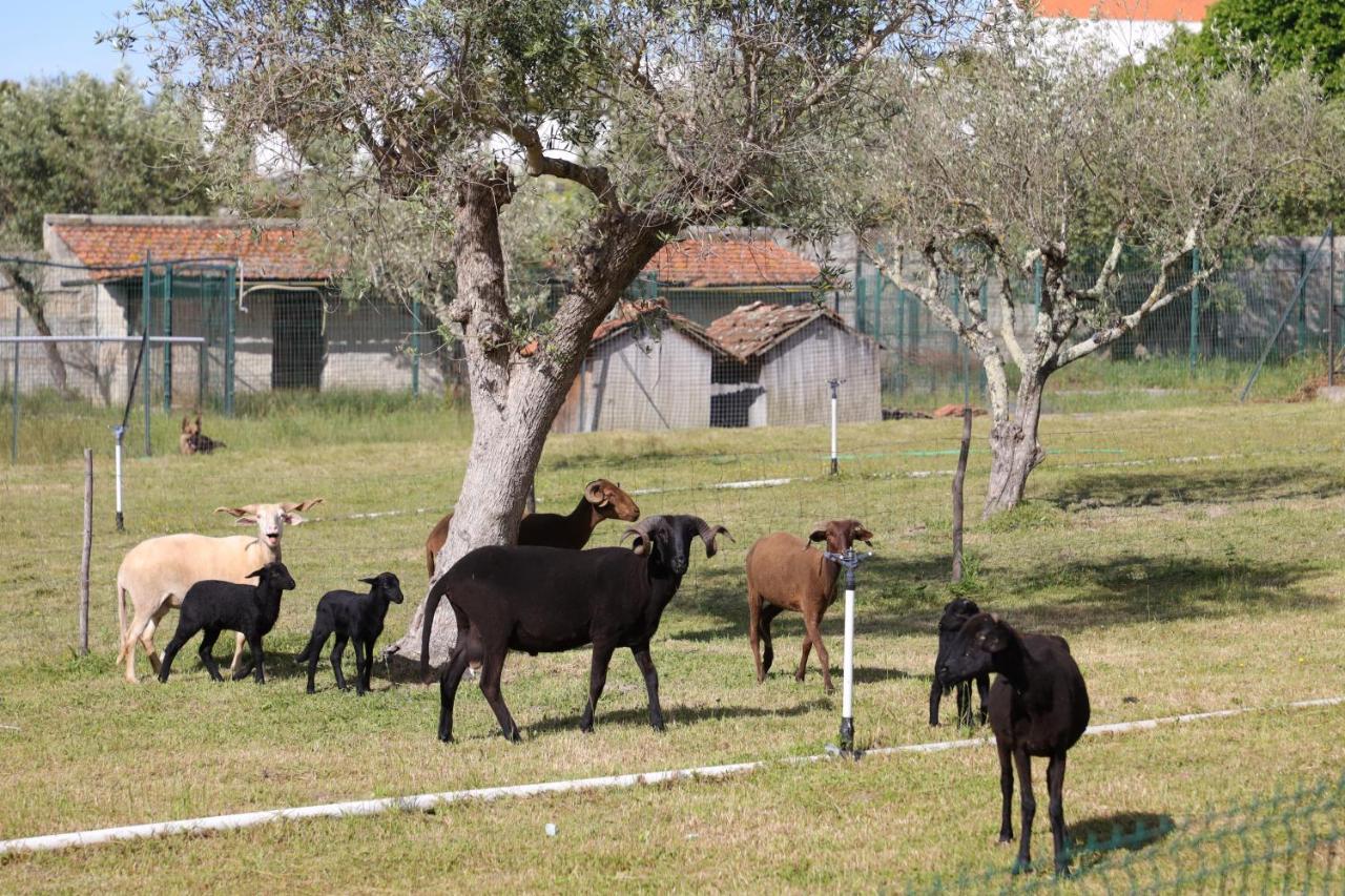 Quinta dos Patos Pinhanços Exterior foto